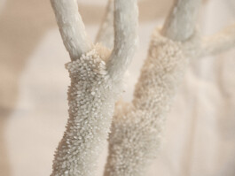 elle kannike, visual artist