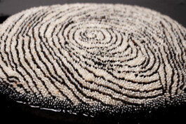 elle kannike, visual artist