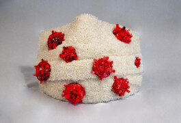 elle kannike, visual artist