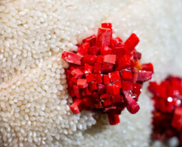 elle kannike, visual artist