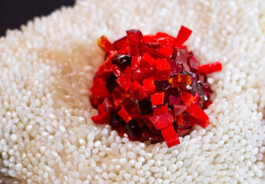 elle kannike, visual artist