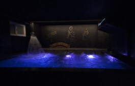 elle kannike, visual artist