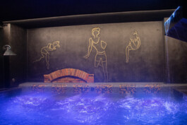 elle kannike, visual artist