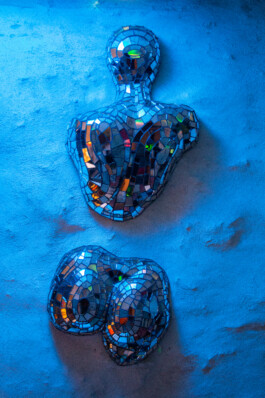 elle kannike, visual artist