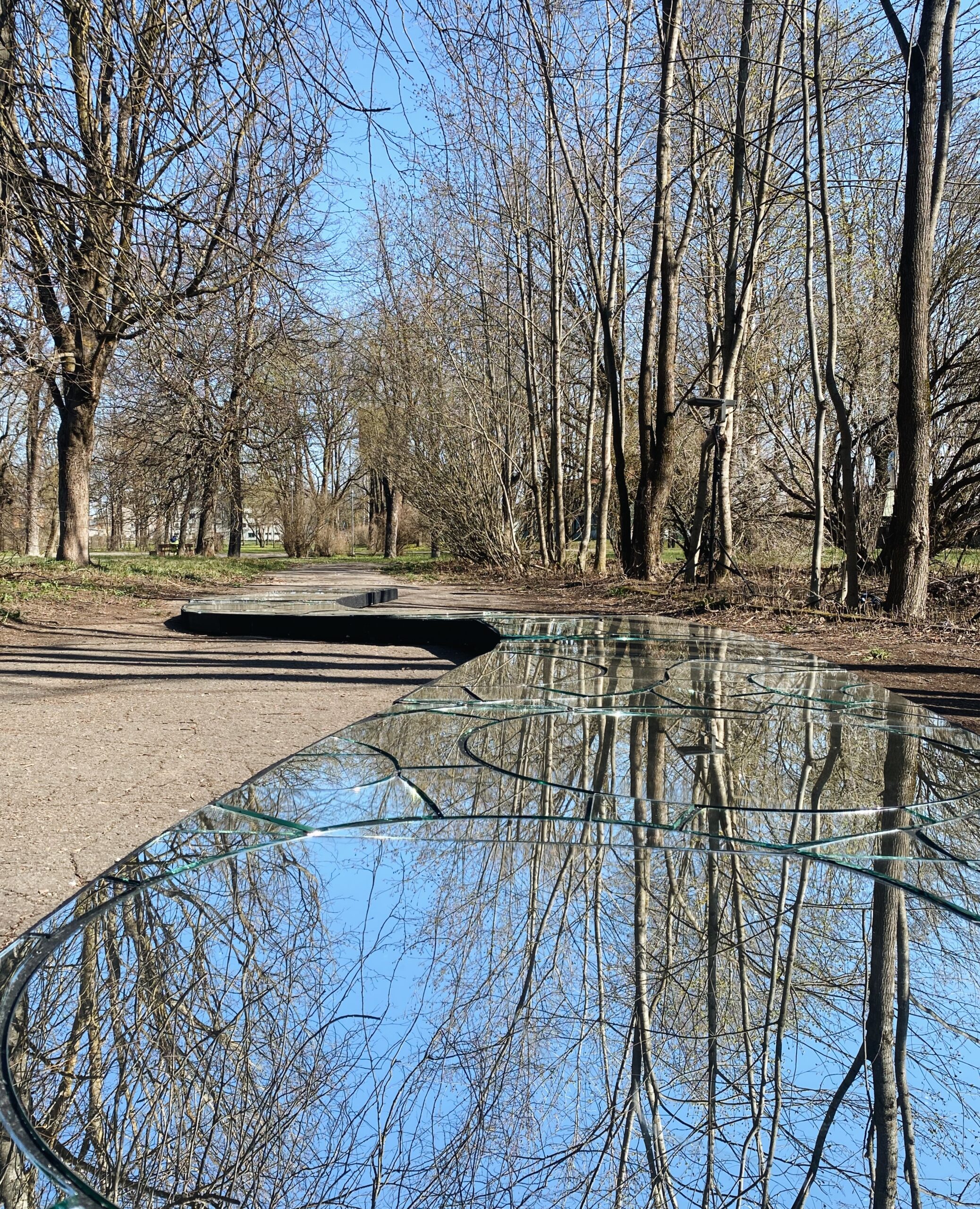 elle kannike, visual artist