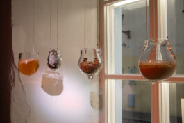 elle kannike, visual artist