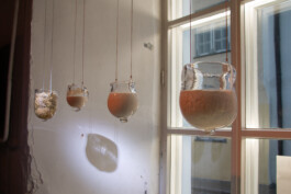 elle kannike, visual artist