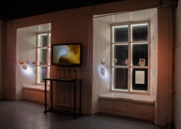 elle kannike, visual artist