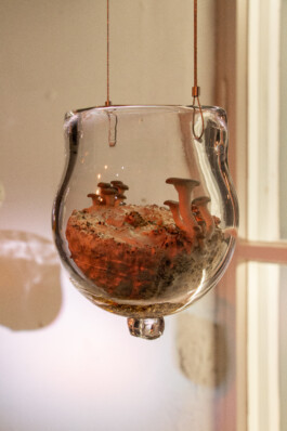 elle kannike, visual artist