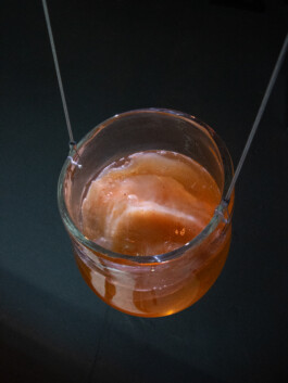 elle kannike, visual artist