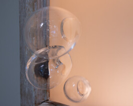 elle kannike, visual artist