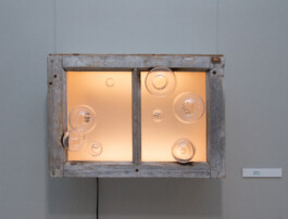 elle kannike, visual artist