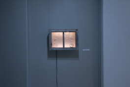 elle kannike, visual artist