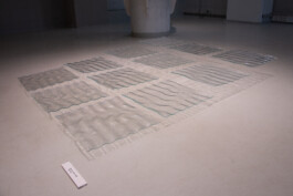 elle kannike, visual artist