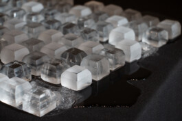 elle kannike, visual artist