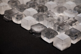 elle kannike, visual artist