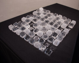 elle kannike, visual artist