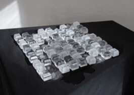 elle kannike, visual artist