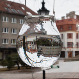 elle kannike, visual artist