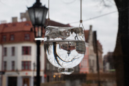 elle kannike, visual artist