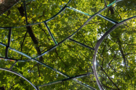 elle kannike, visual artist