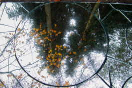 elle kannike, visual artist