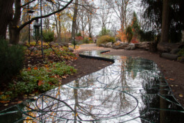 elle kannike, visual artist