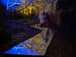 elle kannike, visual artist