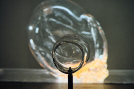 elle kannike, visual artist