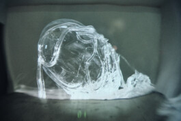 elle kannike, visual artist