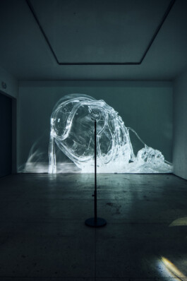 elle kannike, visual artist