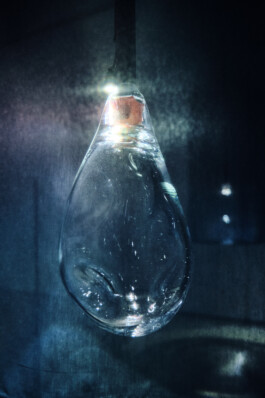 elle kannike, visual artist