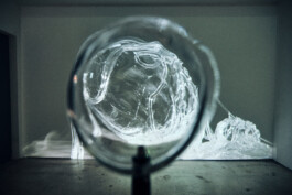 elle kannike, visual artist