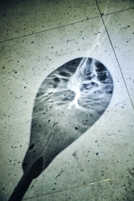 elle kannike, visual artist