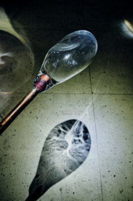 elle kannike, visual artist