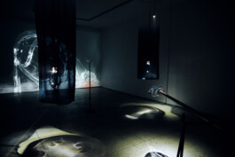 elle kannike, visual artist