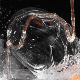 elle kannike, visual artist