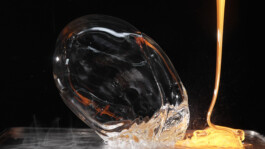 elle kannike, visual artist