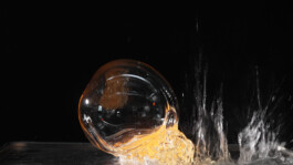 elle kannike, visual artist