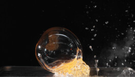 elle kannike, visual artist