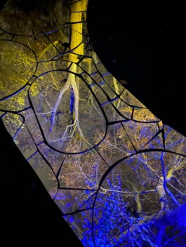 elle kannike, visual artist