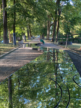 elle kannike, visual artist