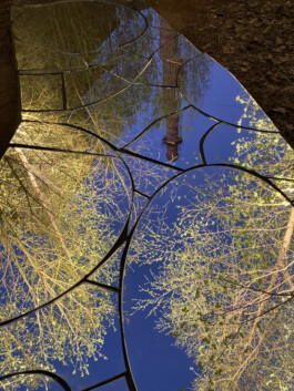 elle kannike, visual artist