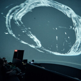 elle kannike, visual artist