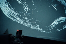 elle kannike, visual artist