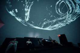 elle kannike, visual artist